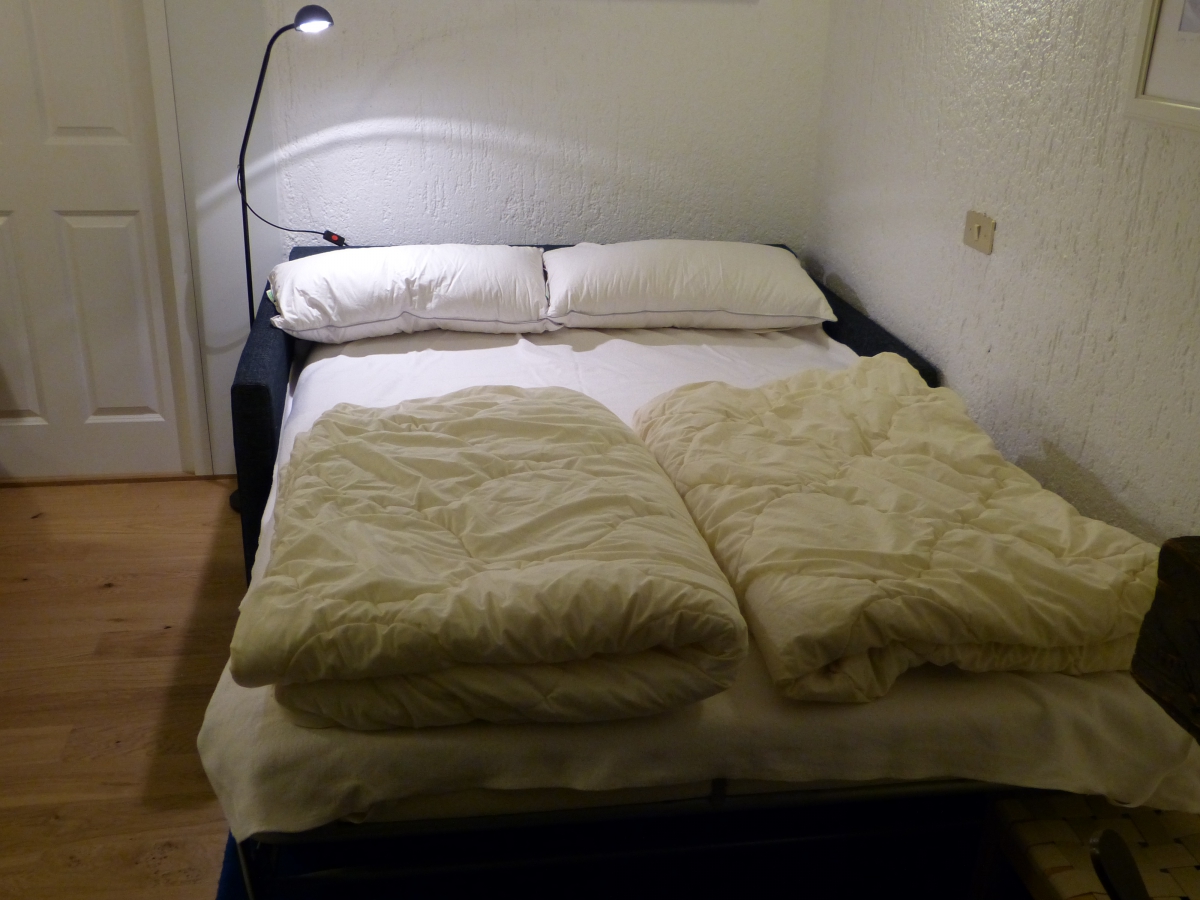 Schlafsofa mit Platz für 2 (120cm Breite)           